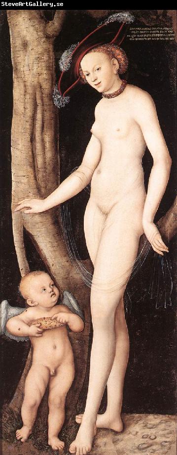 CRANACH, Lucas the Elder Venus and Cupid with a Honeycomb dfg